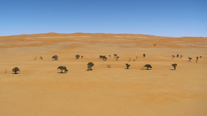 Earth Moods - Desert Solitude - De la película