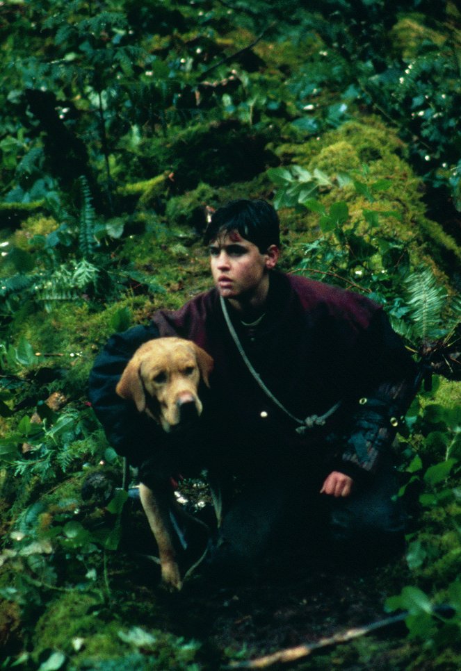 Far From Home: The Adventures of Yellow Dog - Film - Jesse Bradford