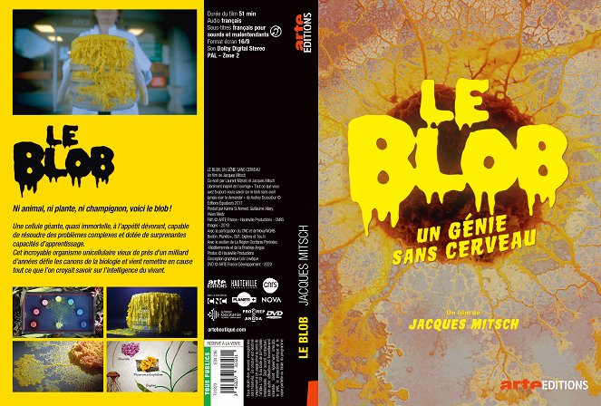 The Blob: A Genius Without a Brain - Covers
