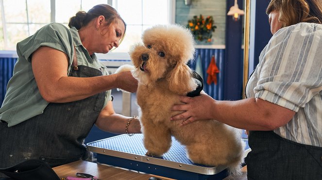 Rosa och glitter - en tävling i hundstajling - Kuvat elokuvasta