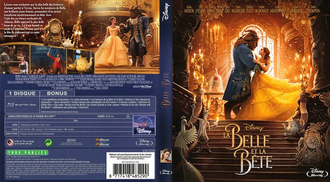 Beauty and the Beast - Covers