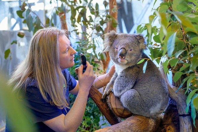 Australian eläintarha - Kuvat elokuvasta
