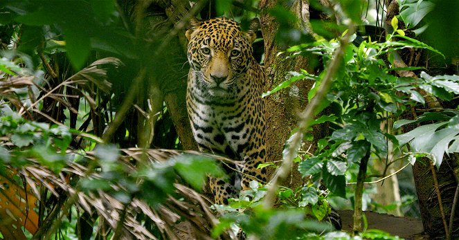 Naturwunder Costa Rica - Filmfotos