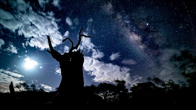 Universum: Naturwunder Costa Rica - Rückkehr zur Wildnis - Filmfotos