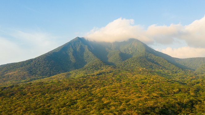 Costa Rican Wildlife - Filmfotók