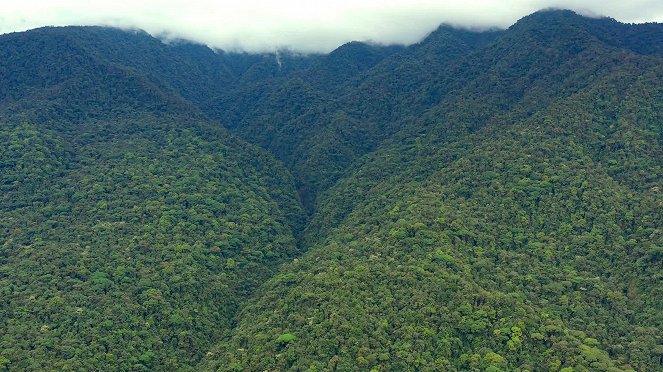 Universum: Naturwunder Costa Rica - Rückkehr zur Wildnis - Filmfotos