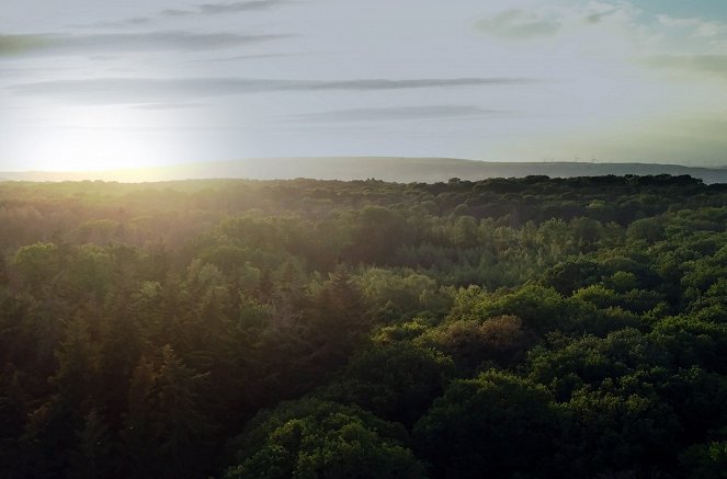Mythos deutscher Wald - Erkundung einer Seelenlandschaft - Filmfotos