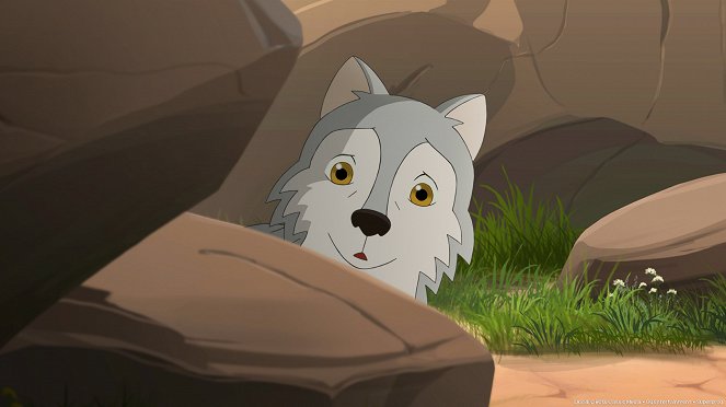 Lassie - Season 1 - Der kleine Wolf - Kuvat elokuvasta