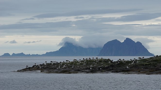 World Discoveries: Lofoten Islands - Photos