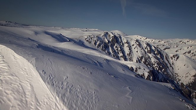 Beeindruckende Tierwelt: Im Dschungel - Mountains - Filmfotos