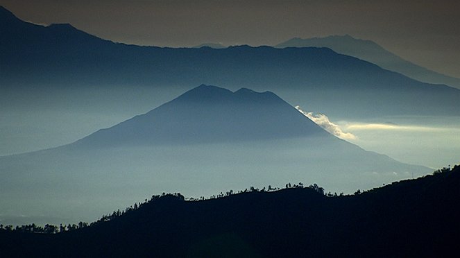 Beeindruckende Tierwelt: Im Dschungel - Volcanoes - Filmfotos