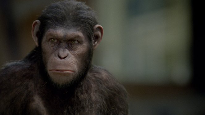 Rise of the Planet of the Apes - Van film