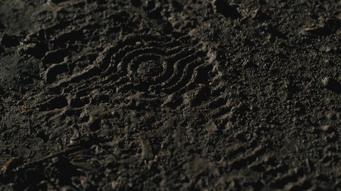 Night Stalker: Sarjamurhaajan jäljillä - Kuka tahansa voi joutua uhriksi - Kuvat elokuvasta