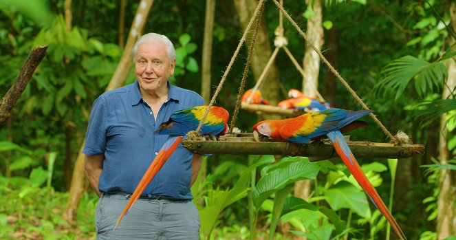 Life in Colour - Werbefoto - David Attenborough