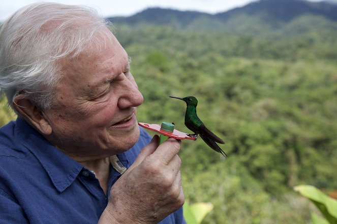 Life in Colour - Do filme - David Attenborough