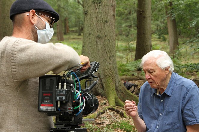 David Attenborough: Az élet színei - Forgatási fotók - David Attenborough