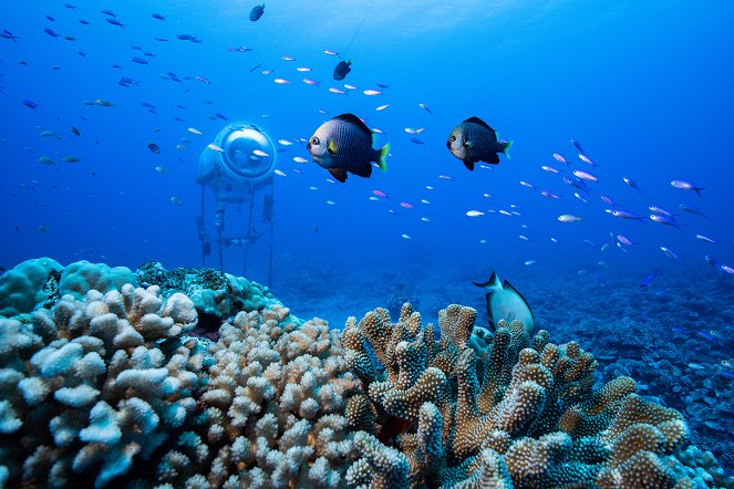 Örök bolygó: Óceánok hősei - Filmfotók