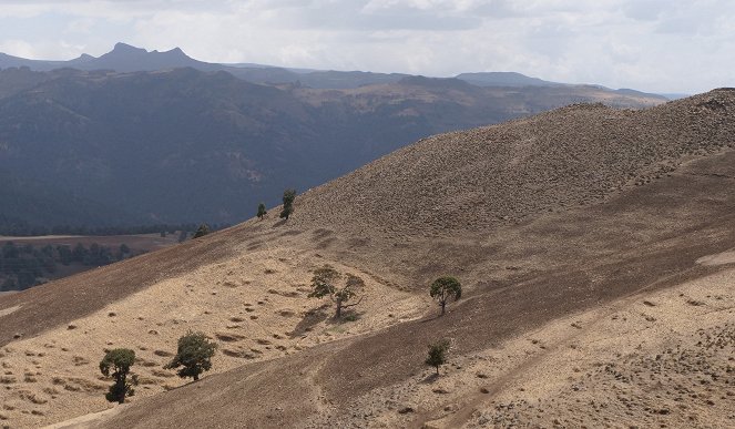 Na cestě - Na cestě po etiopském jižním riftu - Van film