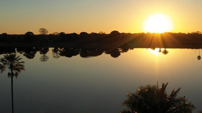 Pantanal - Brazil's Natural Miracle - Photos