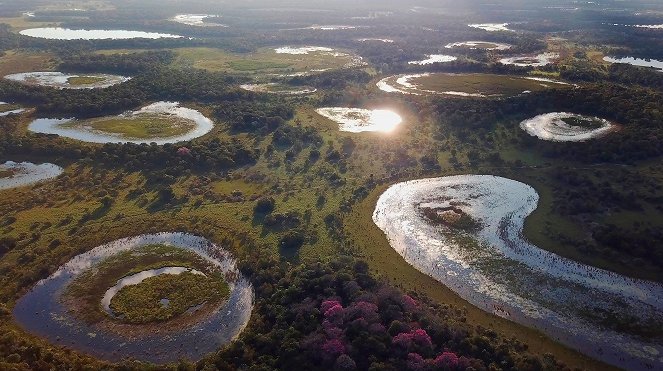 Pantanal - Brazília természeti csodája - Filmfotók