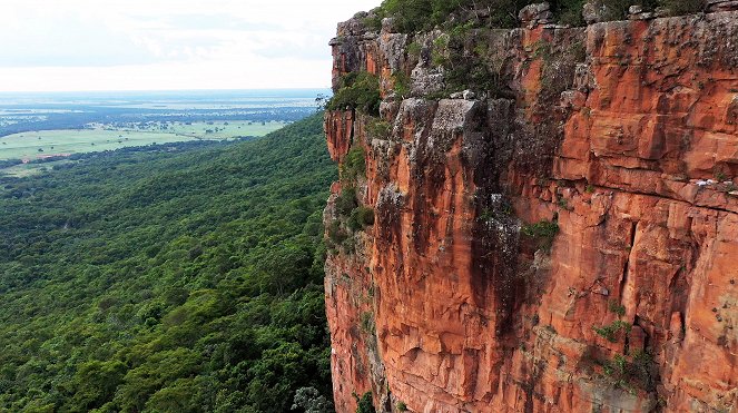 Erlebnis Erde: Naturwunder Pantanal - Brasiliens geheimnisvolle Wildnis - Z filmu