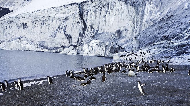 Antarktika - Die gefrorene Zeit - Van film