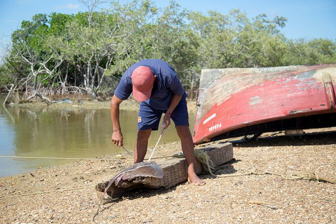 À la rencontre des peuples des mers - Season 1 - Colombie : Les Apalaanchis - Pêcheurs de rêves - Z filmu