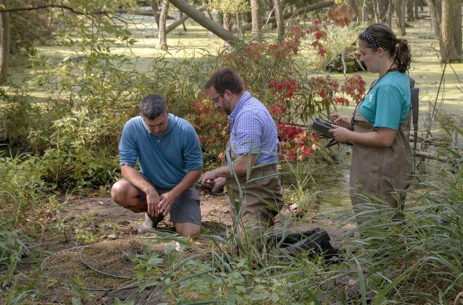 Metamorphosen - Die Wildnis kehrt zurück - USA – Neues Leben am Eriesee - Kuvat elokuvasta