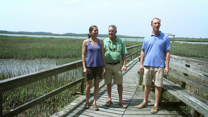 Buying the Beach - Photos