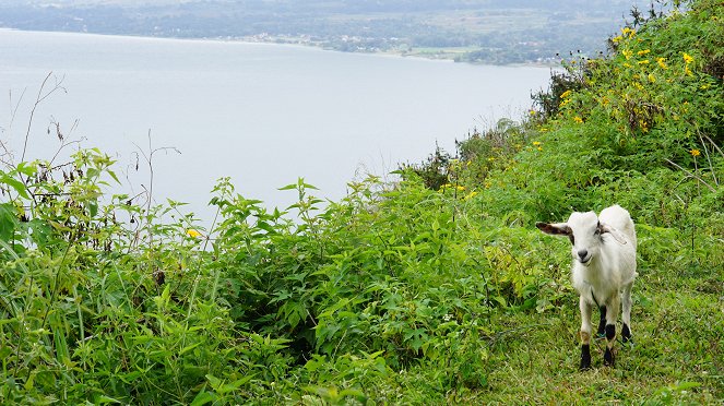 Na cestě - Na cestě po Sumatře - Photos