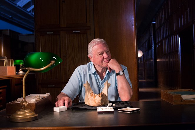 Attenborough's Journey - De la película - David Attenborough