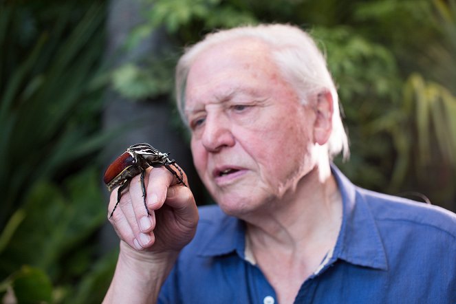 Attenborough's Journey - De la película - David Attenborough