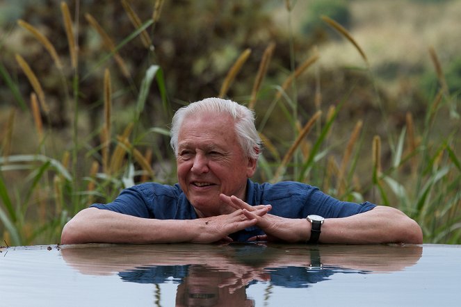 David Attenborough's Global Adventure - Do filme - David Attenborough