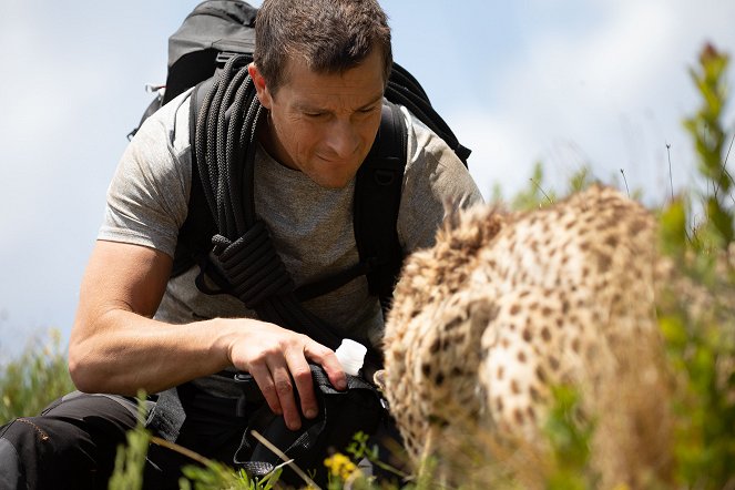 Tvůj souboj s divočinou: Poprask na safari - Z filmu