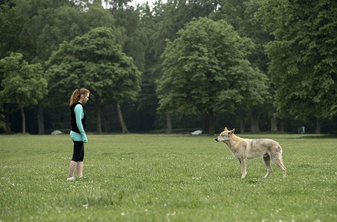 Großstadtrevier - Season 30 - Die Wölfin - Filmfotos