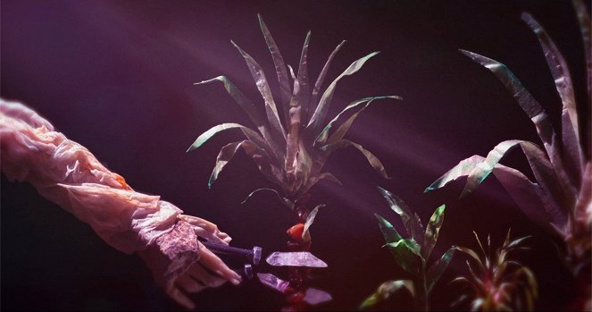 Plantarium - De la película