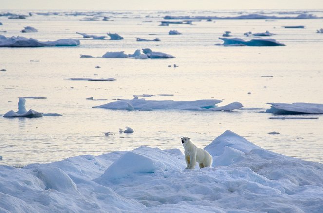 Into the Arctic: Awakening - Filmfotók