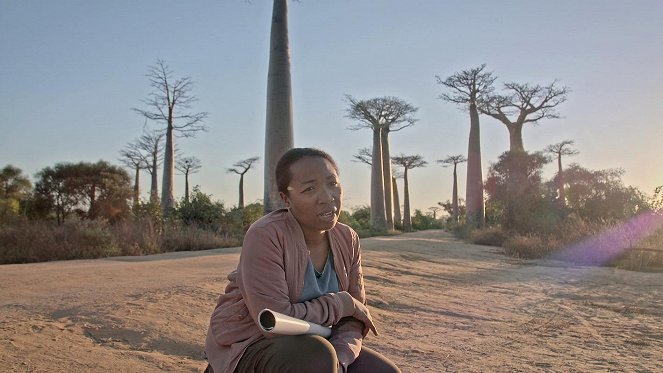 Femmes et science en Afrique, une révolution silencieuse - Z filmu