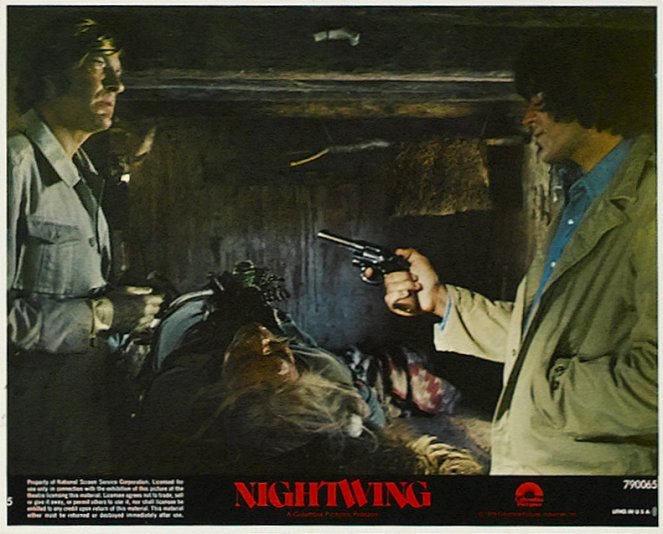 Nightwing - Lobby karty - David Warner, Nick Mancuso