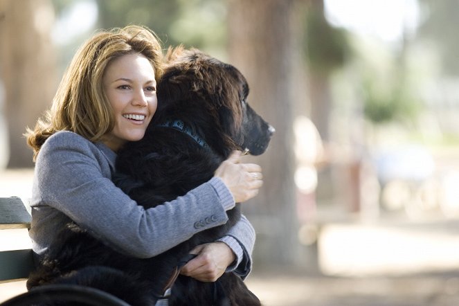 Frau mit Hund sucht Mann mit Herz - Filmfotos - Diane Lane