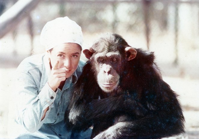 Lucy, el chimpancé humano - De la película