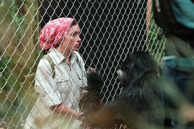 Lucy, el chimpancé humano - De la película