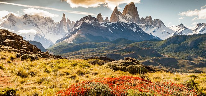 Der Patagonia Park: Eine Reise in die chilenische Wildnis - Z filmu