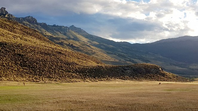 Der Patagonia Park: Eine Reise in die chilenische Wildnis - Z filmu