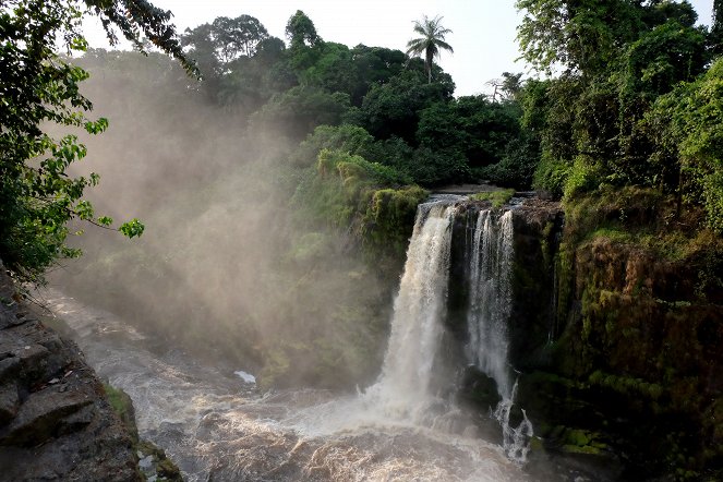 Rainforest First - Climate Protection in Central Africa - Photos