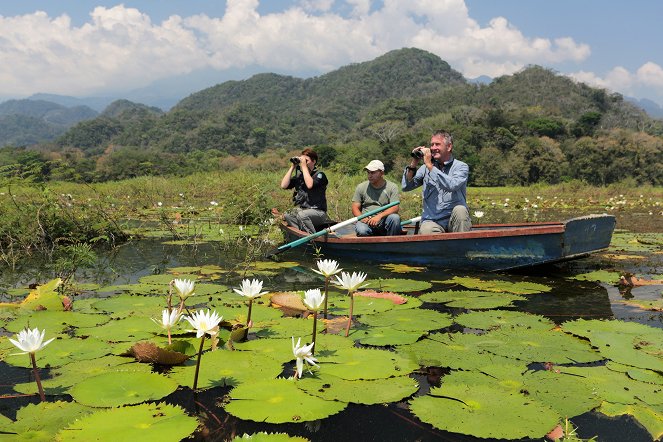 Wildes Zentralamerika - Im Dschungel von Honduras - Photos