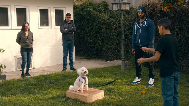 CALI K9 – Nincs reménytelen kutya - Nino - Filmfotók