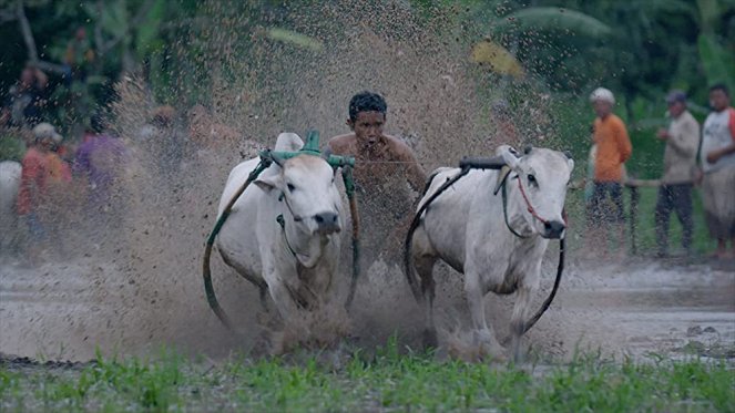 Bir Dünya Yaşam - Z filmu