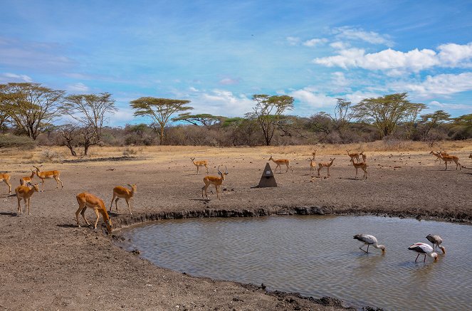 Waterhole: Africa's Animal Oasis - Photos