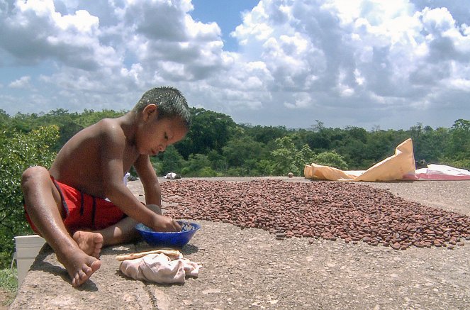 The Chocolate Farmer - De la película